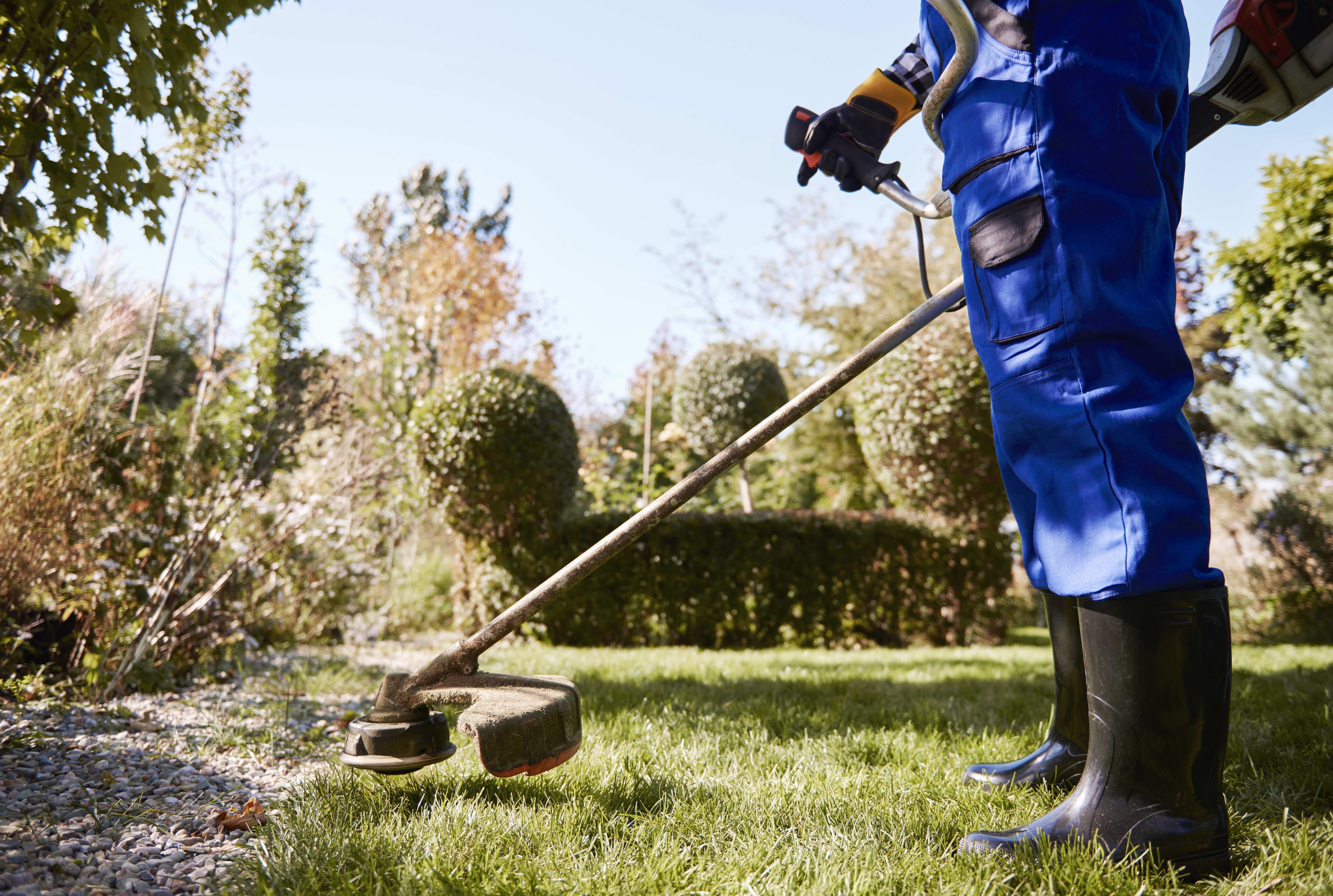 Landscaping and Exterior Care